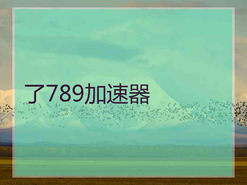 了789加速器