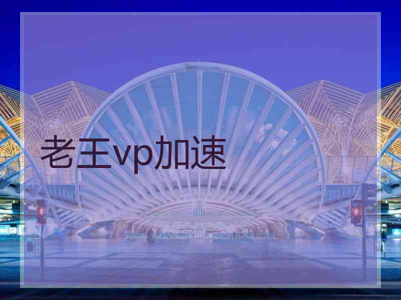 老王vp加速