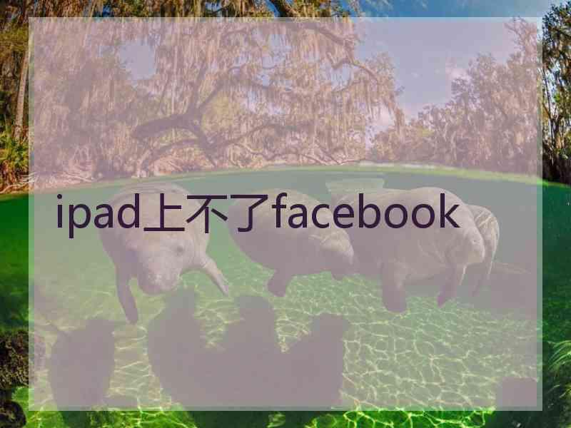 ipad上不了facebook