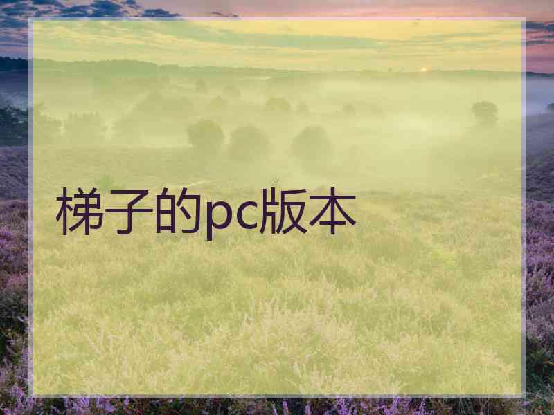 梯子的pc版本