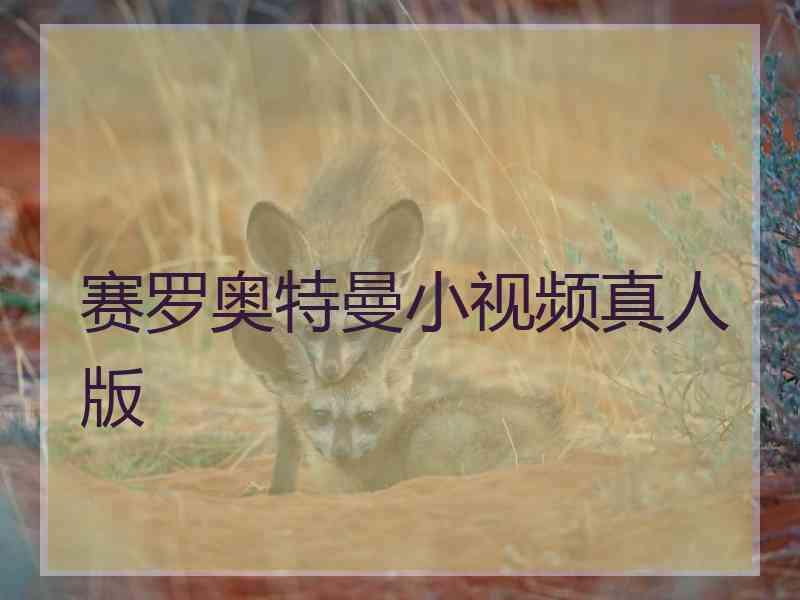 赛罗奥特曼小视频真人版