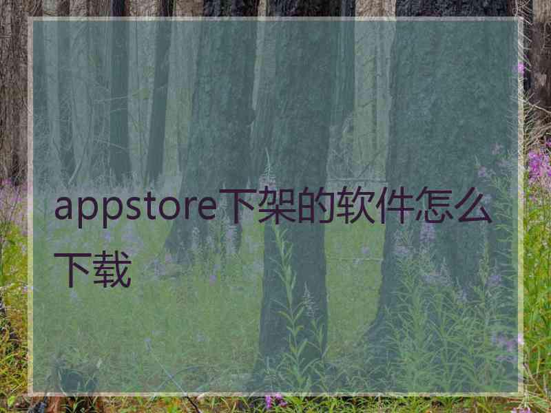 appstore下架的软件怎么下载
