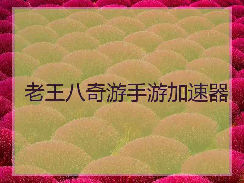 老王八奇游手游加速器