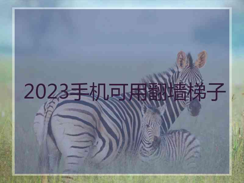2023手机可用翻墙梯子