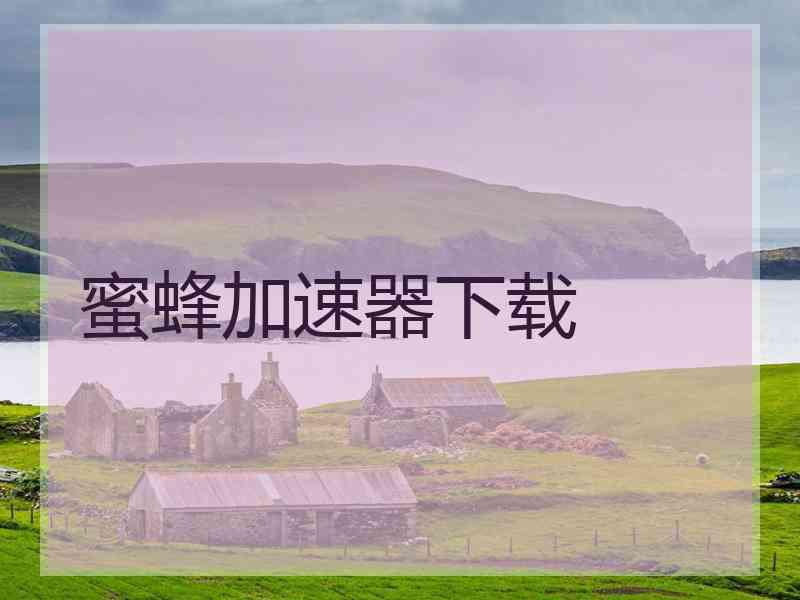蜜蜂加速器下载