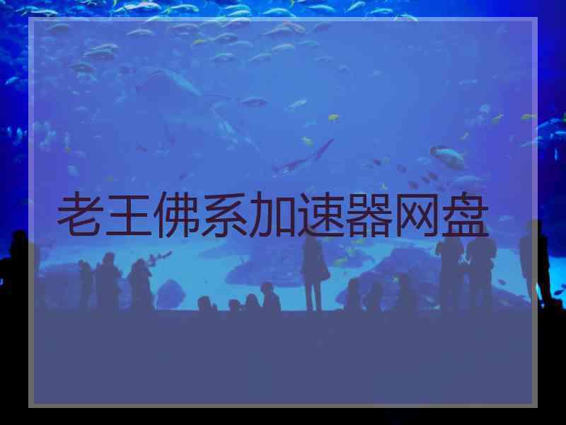 老王佛系加速器网盘