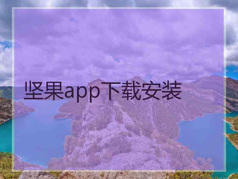 坚果app下载安装