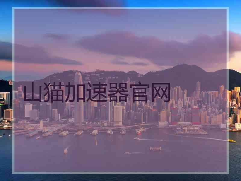 山猫加速器官网