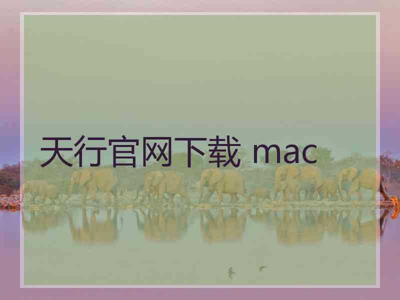 天行官网下载 mac