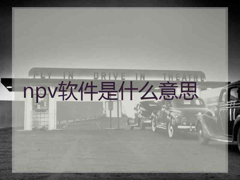 npv软件是什么意思
