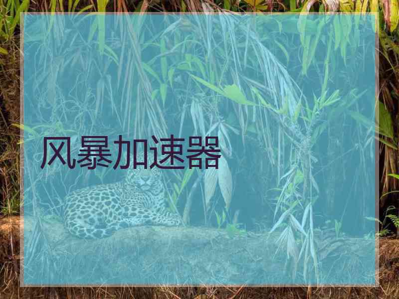 风暴加速器