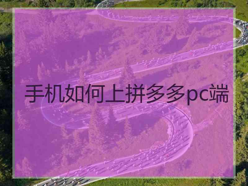 手机如何上拼多多pc端