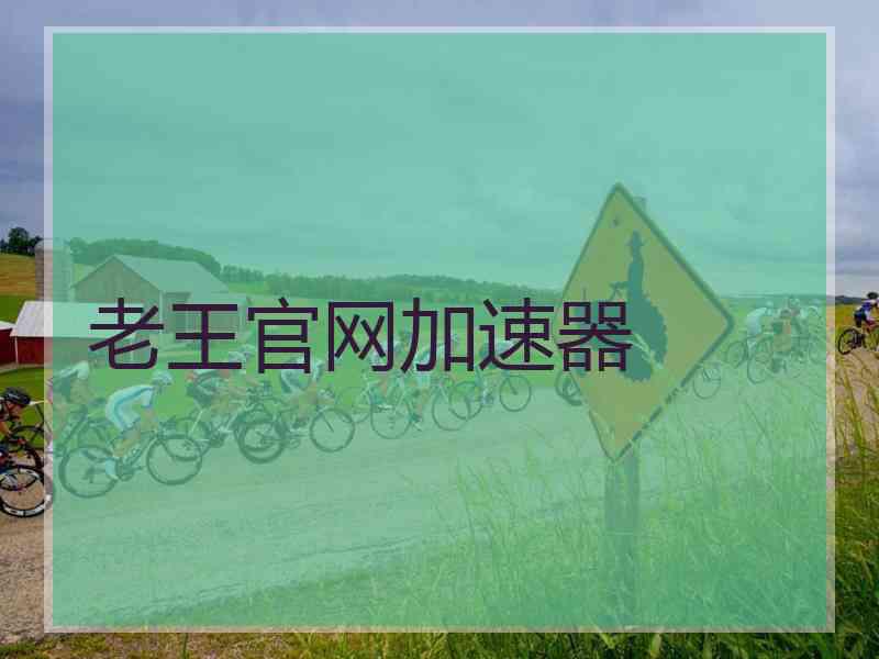 老王官网加速器