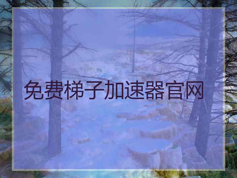 免费梯子加速器官网
