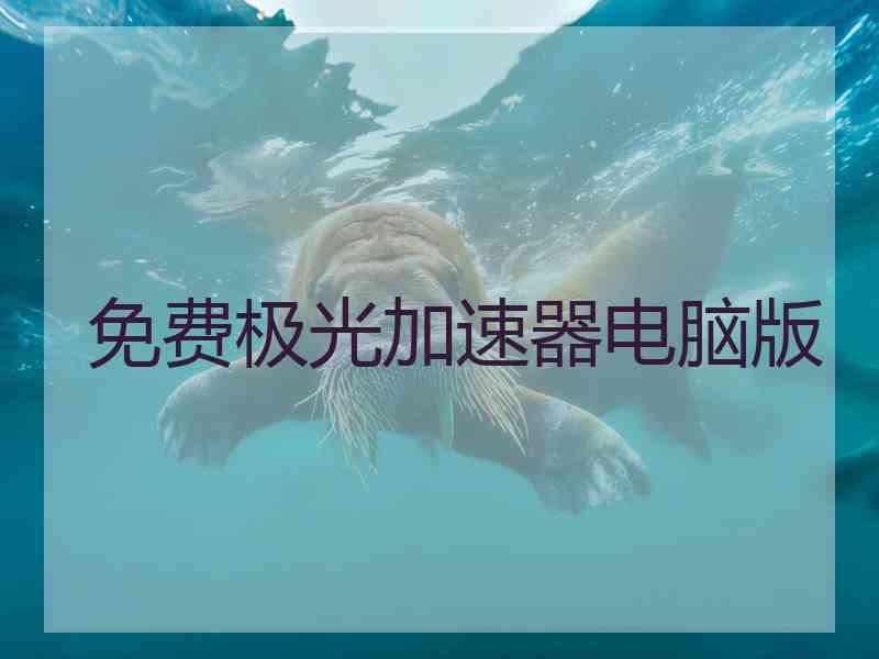 免费极光加速器电脑版
