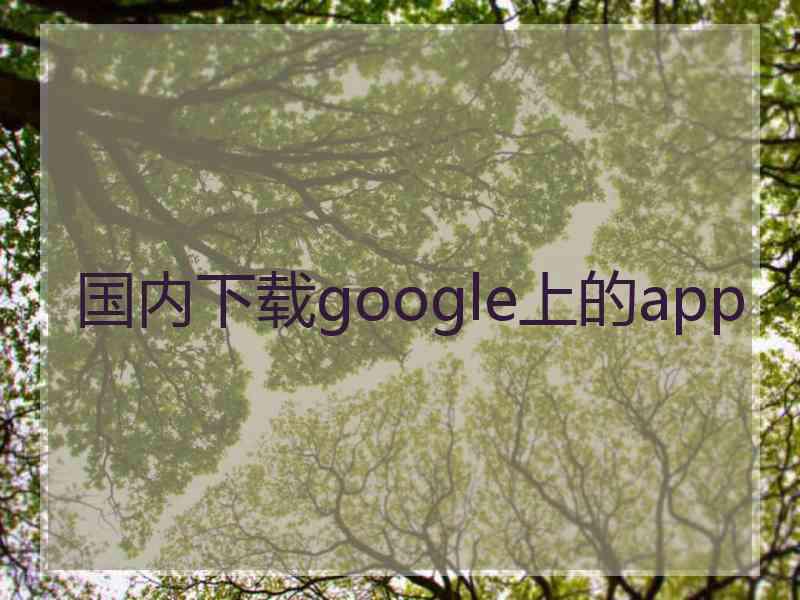 国内下载google上的app