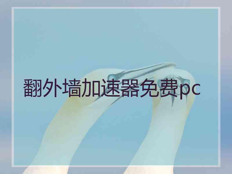 翻外墙加速器免费pc