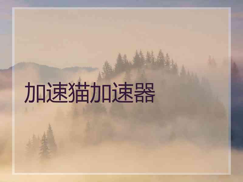 加速猫加速器
