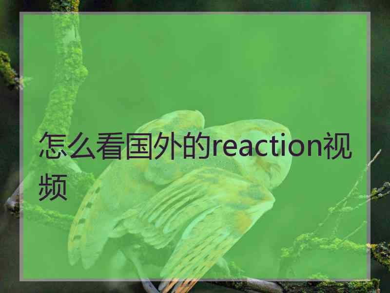 怎么看国外的reaction视频