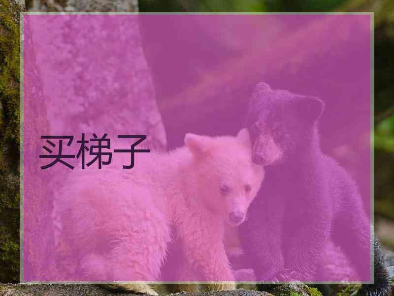 买梯子