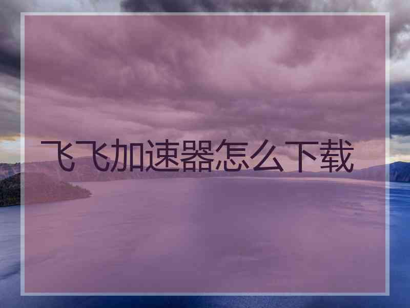 飞飞加速器怎么下载