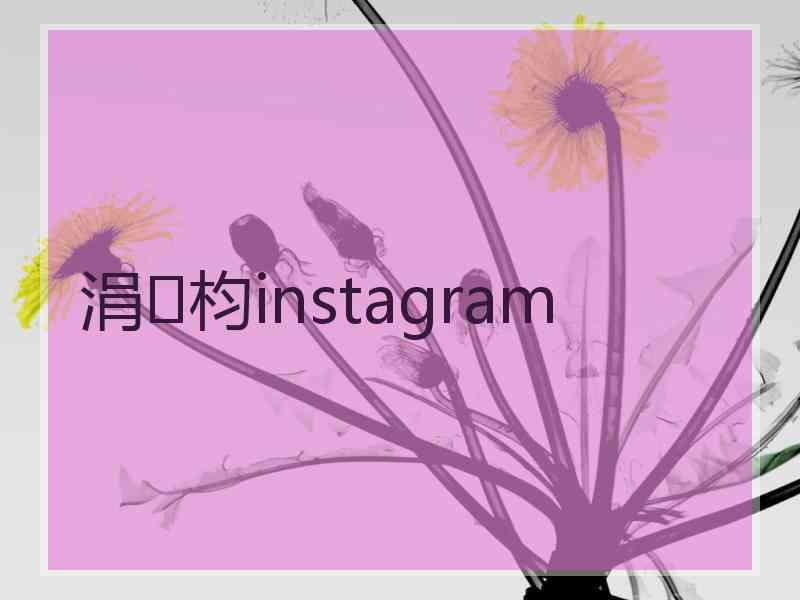 涓枃instagram