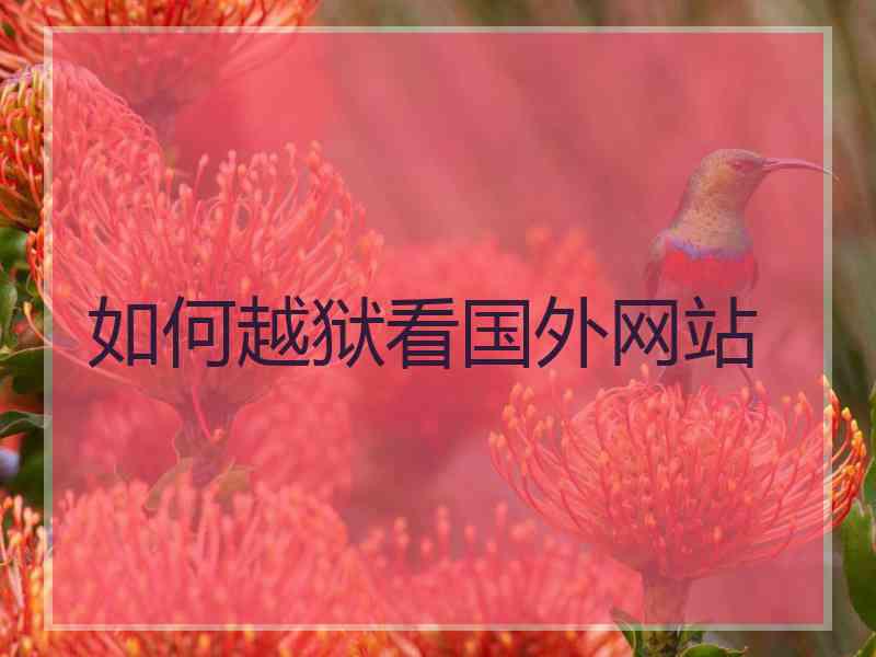 如何越狱看国外网站
