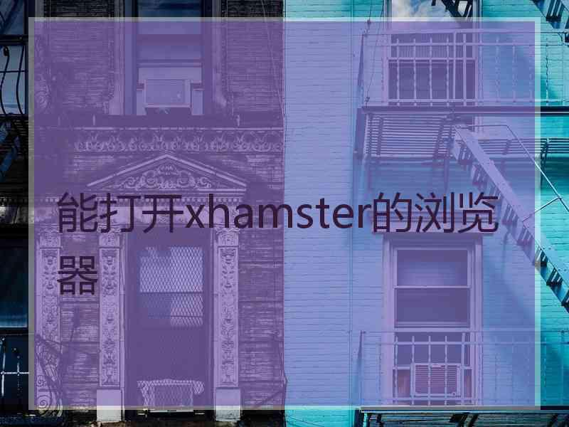 能打开xhamster的浏览器