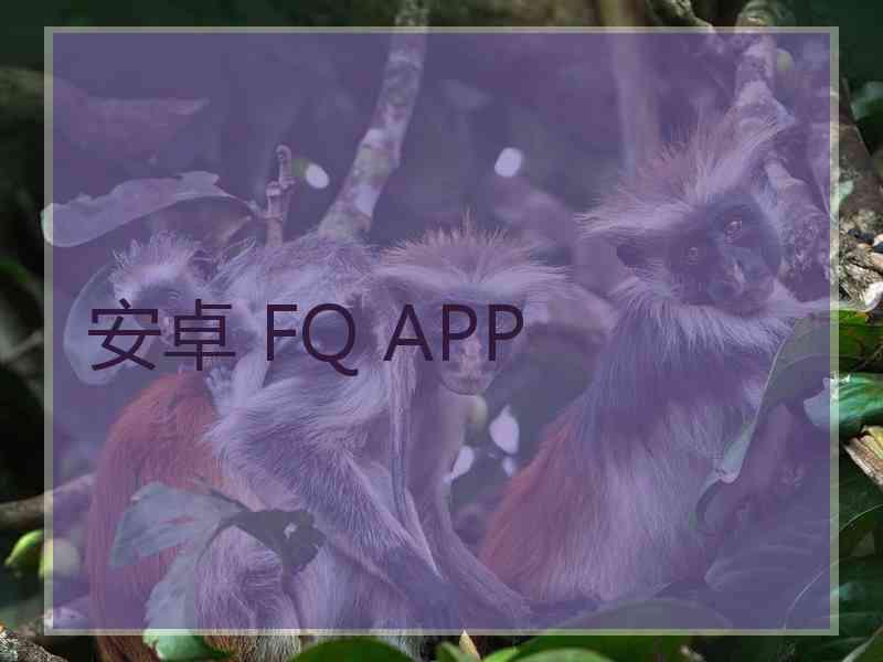 安卓 FQ APP
