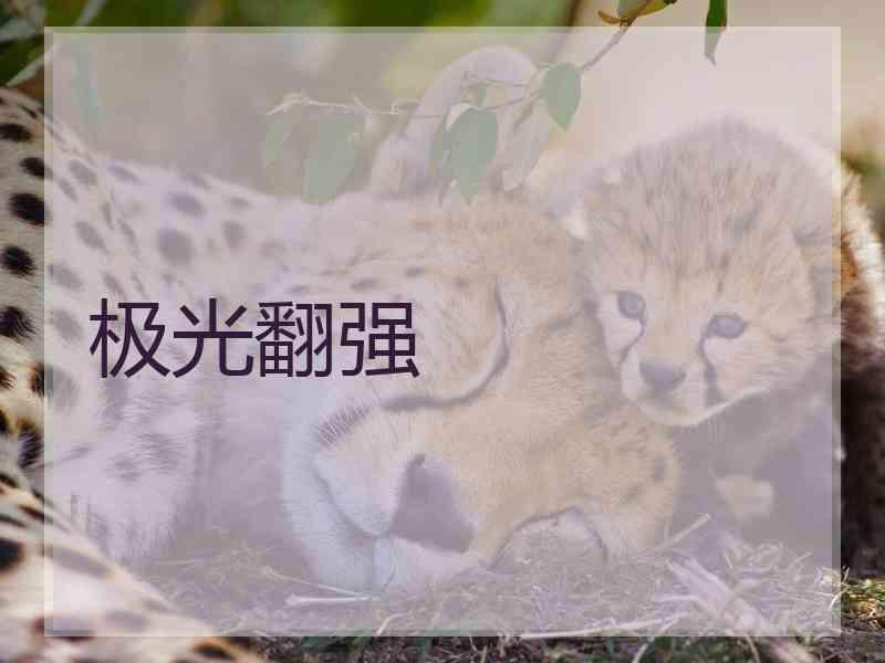 极光翻强