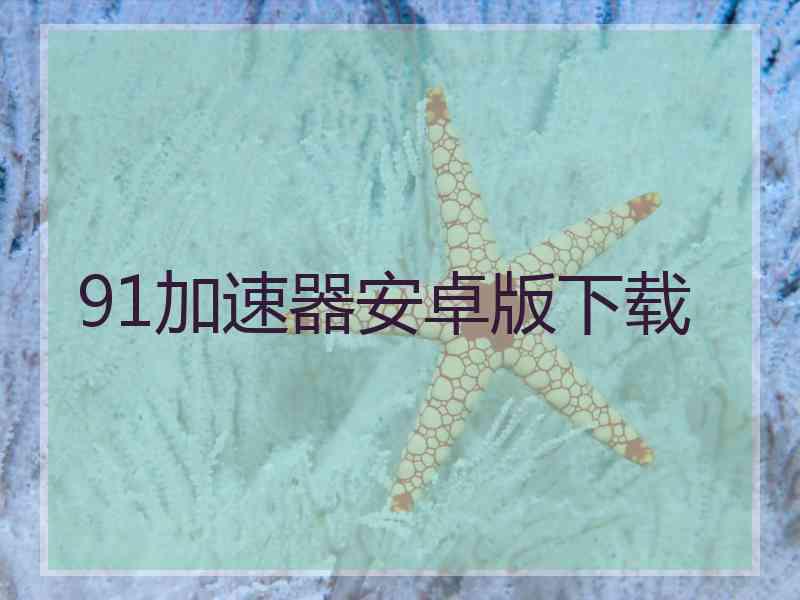 91加速器安卓版下载