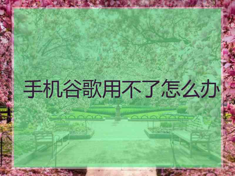 手机谷歌用不了怎么办
