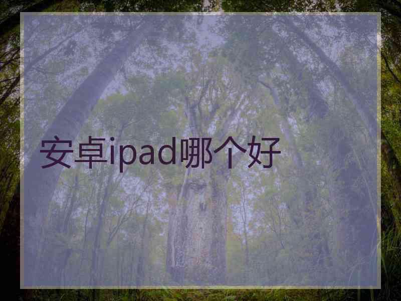 安卓ipad哪个好