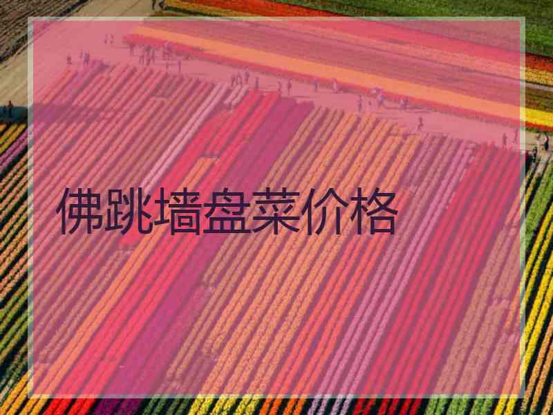 佛跳墙盘菜价格