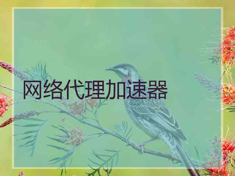 网络代理加速器