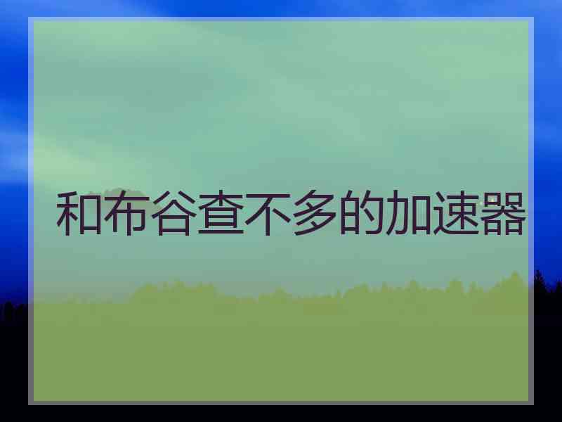和布谷查不多的加速器