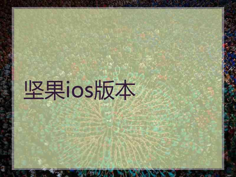 坚果ios版本