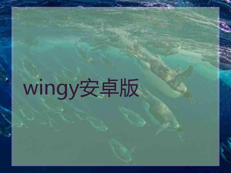 wingy安卓版