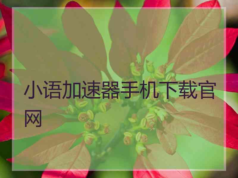 小语加速器手机下载官网