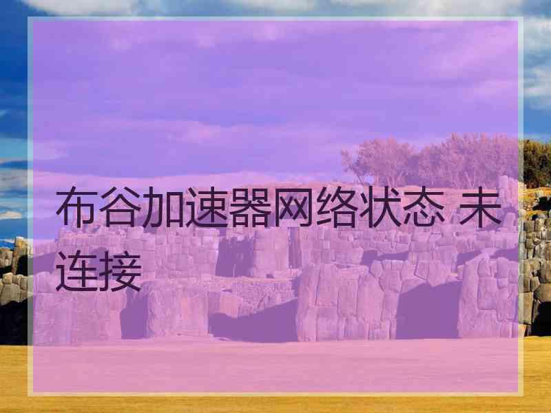 布谷加速器网络状态 未连接
