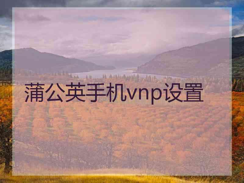 蒲公英手机vnp设置