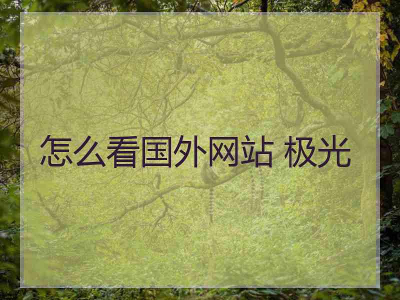 怎么看国外网站 极光