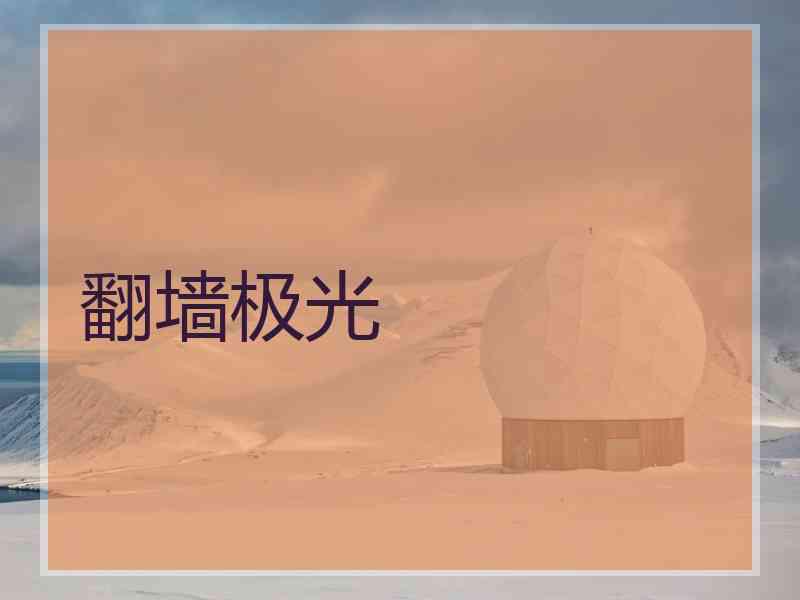 翻墙极光