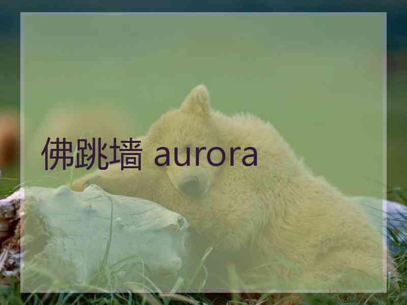 佛跳墙 aurora