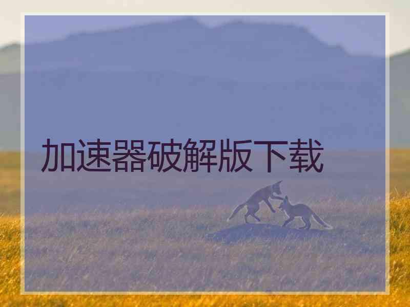 加速器破解版下载