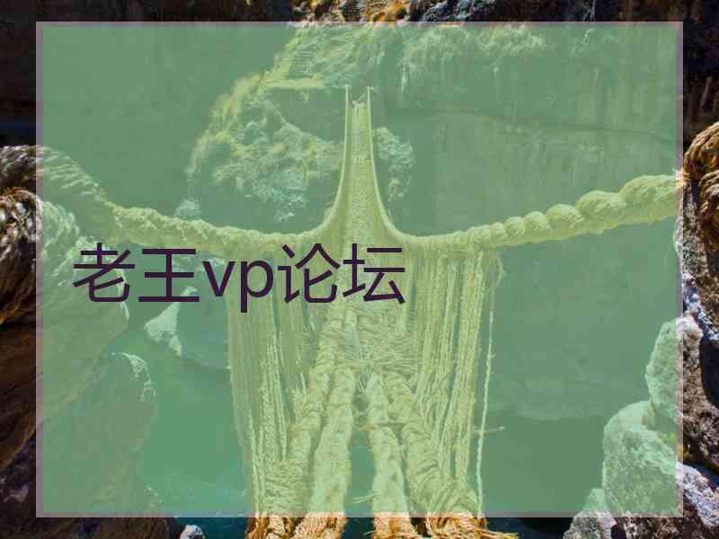 老王vp论坛