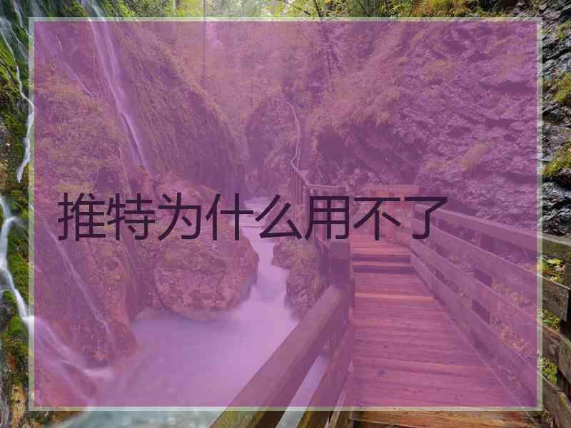 推特为什么用不了