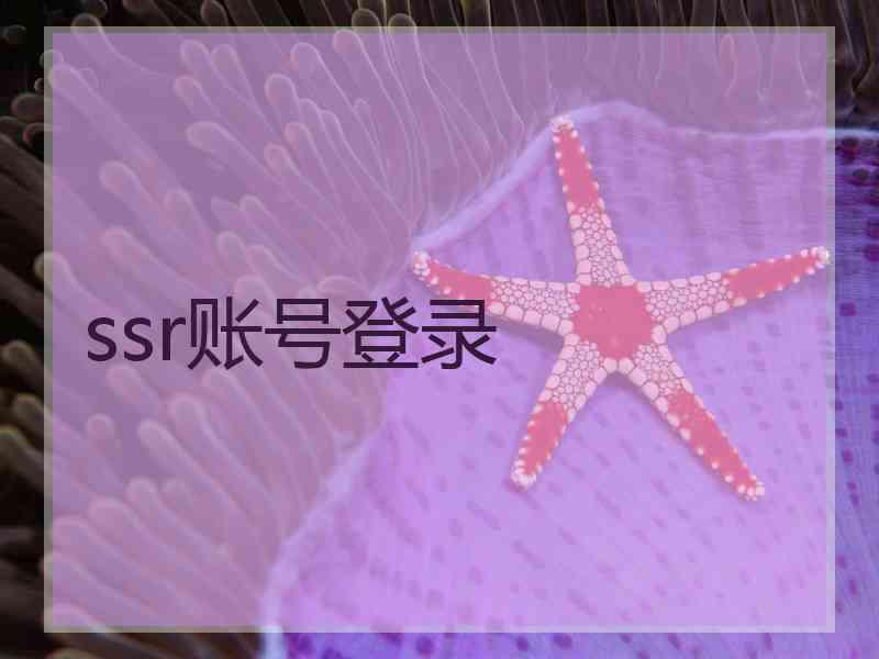 ssr账号登录