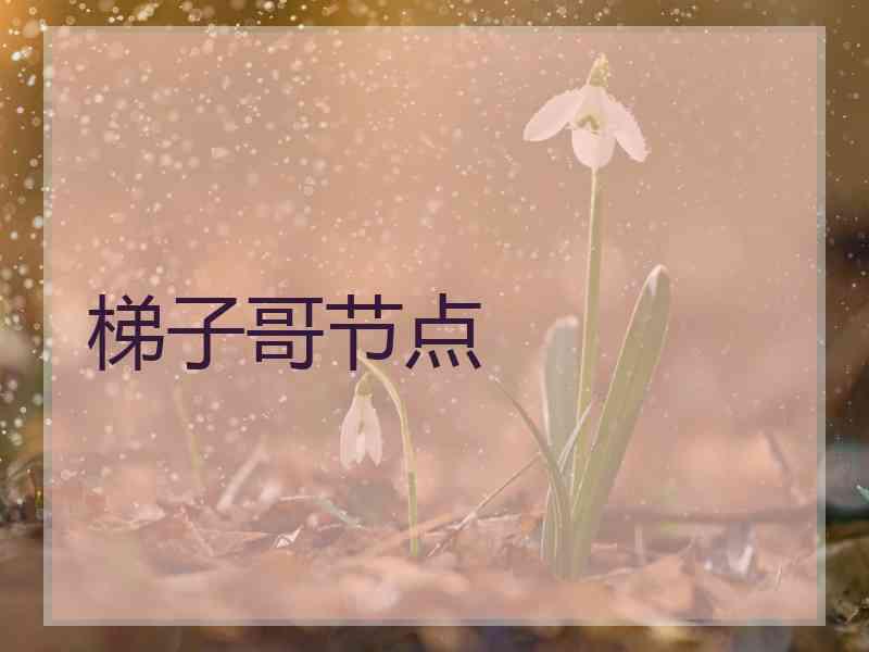 梯子哥节点