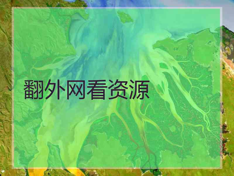 翻外网看资源